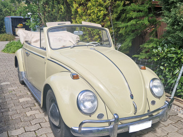 Renting out: VW Käfer Cabio (1965)