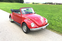 Renting out: VW Käfer Cabrio Veteran