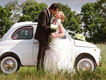 Vermieten: FIAT 500 L - für Hochzeiten ✓ Fotoshootings ✓ Events ✓