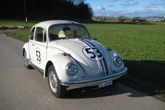 Renting out: VW Käfer Herbie Veteran