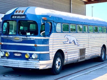 Renting out: Greyhound Silversides