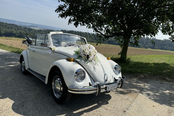 VW Käfer 1500 Cabriolet (1969) Kaefertraum