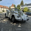 Vermieten: VW Käfer 1500 Cabriolet (1969) Kaefertraum